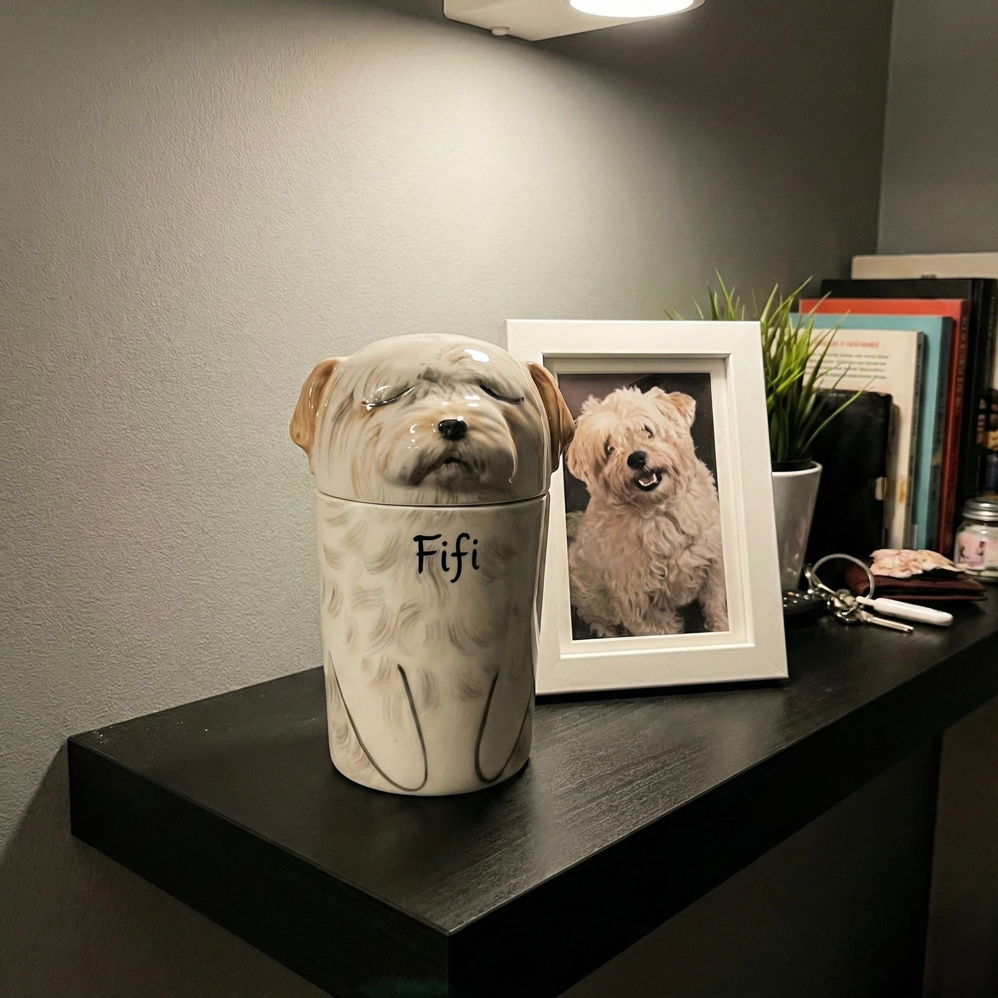 Fifi — customer memorial photo